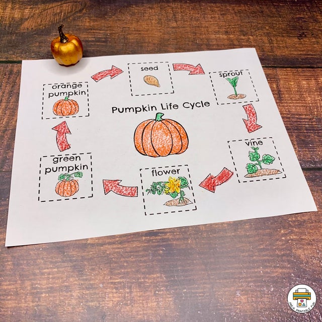 Pumpkin Preschool Activities Pack