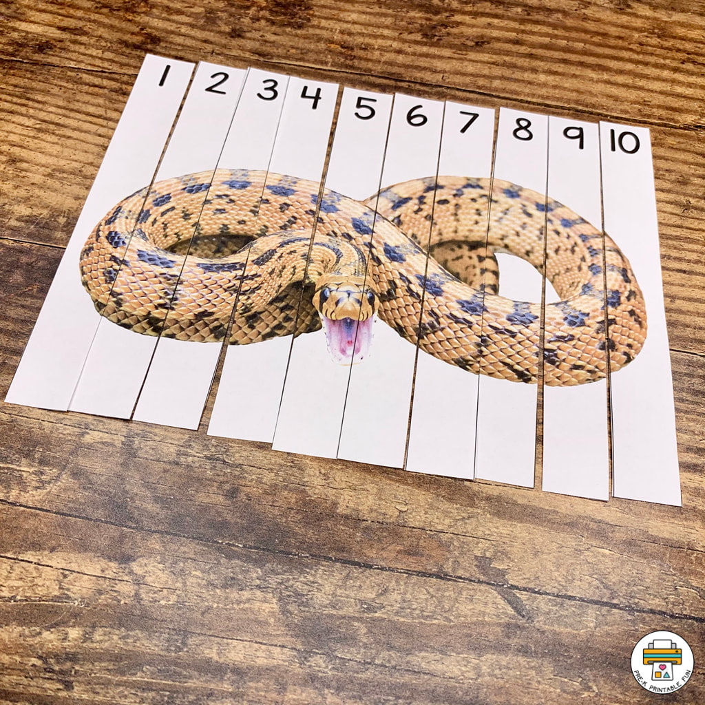 Snakes Preschool Activities Pack Pre K Printable Fun