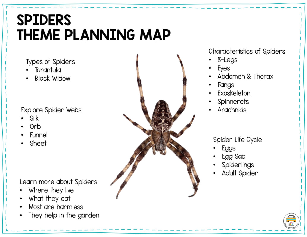 Characteristics of Spiders