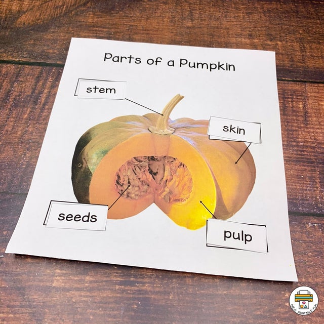 Pumpkin Preschool Activities Pack